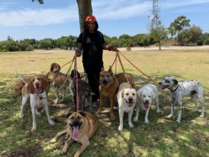 fitdog